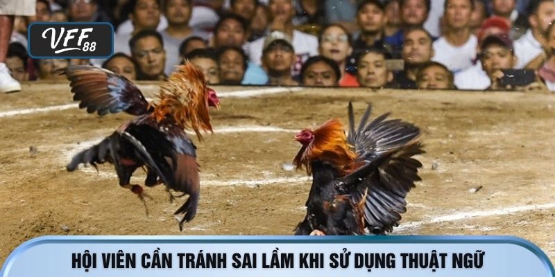 Hội viên cần tránh sai lầm khi sử dụng thuật ngữ đá gà
